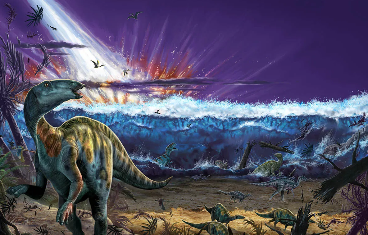 2022-01-28 Nerd Roundup